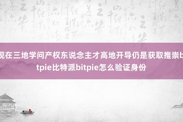 现在三地学问产权东说念主才高地开导仍是获取推崇bitpie比特派bitpie怎么验证身份