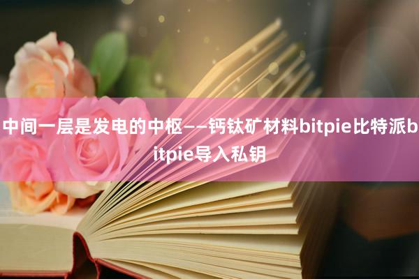 中间一层是发电的中枢——钙钛矿材料bitpie比特派bitpie导入私钥