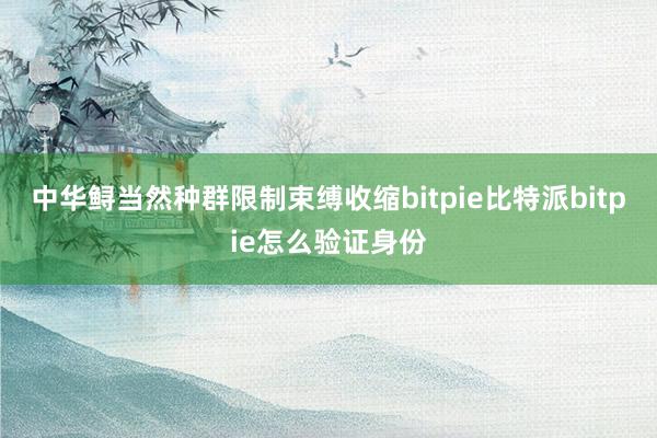 中华鲟当然种群限制束缚收缩bitpie比特派bitpie怎么验证身份