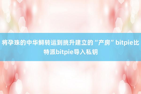 将孕珠的中华鲟转运到挑升建立的“产房”bitpie比特派bitpie导入私钥