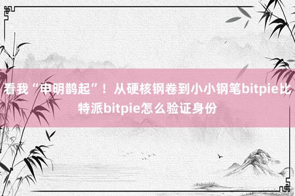 看我“申明鹊起”！从硬核钢卷到小小钢笔bitpie比特派bitpie怎么验证身份