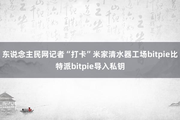 东说念主民网记者“打卡”米家清水器工场bitpie比特派bitpie导入私钥