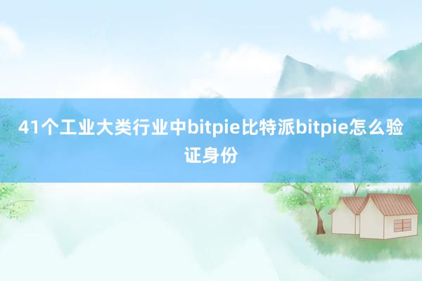 41个工业大类行业中bitpie比特派bitpie怎么验证身份