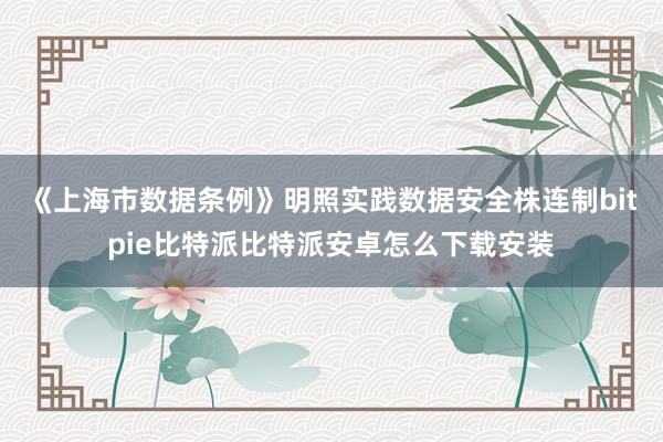 《上海市数据条例》明照实践数据安全株连制bitpie比特派比特派安卓怎么下载安装