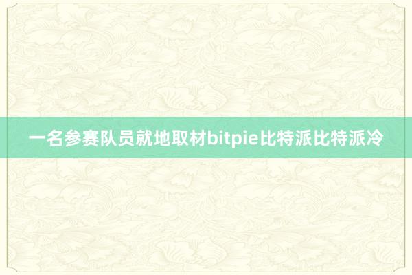 一名参赛队员就地取材bitpie比特派比特派冷