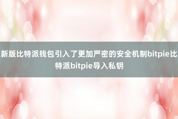 新版比特派钱包引入了更加严密的安全机制bitpie比特派bitpie导入私钥