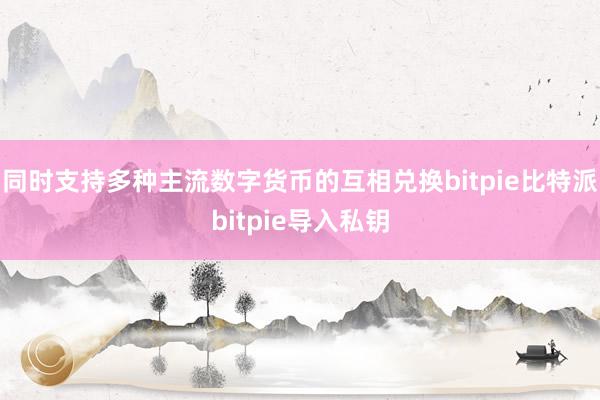 同时支持多种主流数字货币的互相兑换bitpie比特派bitpie导入私钥