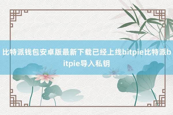 比特派钱包安卓版最新下载已经上线bitpie比特派bitpie导入私钥