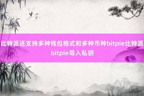 比特派还支持多种钱包格式和多种币种bitpie比特派bitpie导入私钥