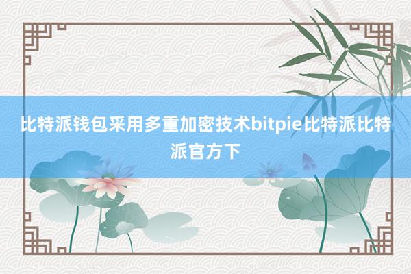 比特派钱包采用多重加密技术bitpie比特派比特派官方下