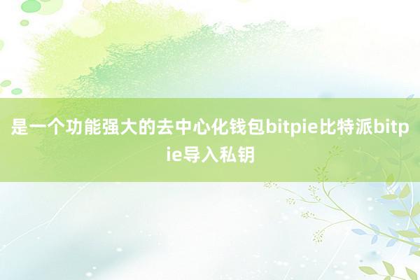 是一个功能强大的去中心化钱包bitpie比特派bitpie导入私钥