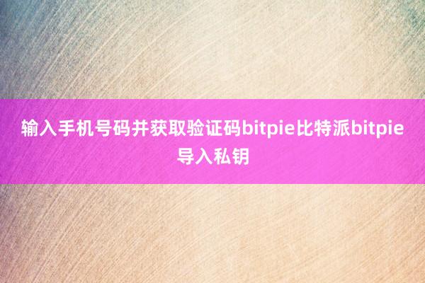 输入手机号码并获取验证码bitpie比特派bitpie导入私钥