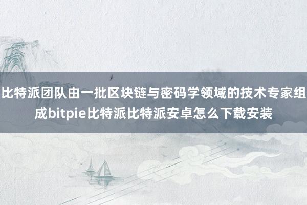 比特派团队由一批区块链与密码学领域的技术专家组成bitpie比特派比特派安卓怎么下载安装