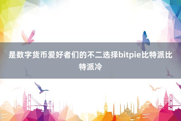 是数字货币爱好者们的不二选择bitpie比特派比特派冷