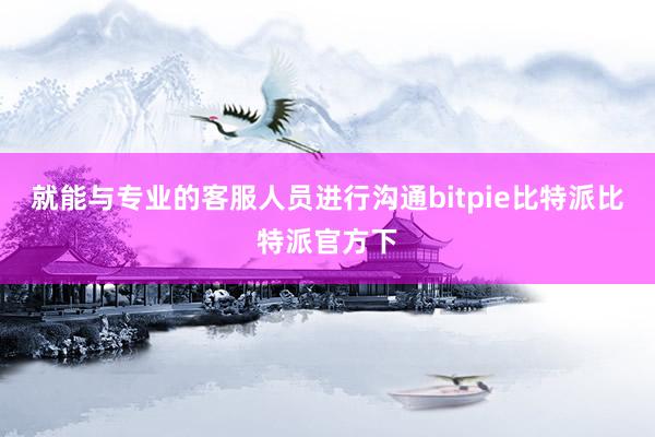 就能与专业的客服人员进行沟通bitpie比特派比特派官方下