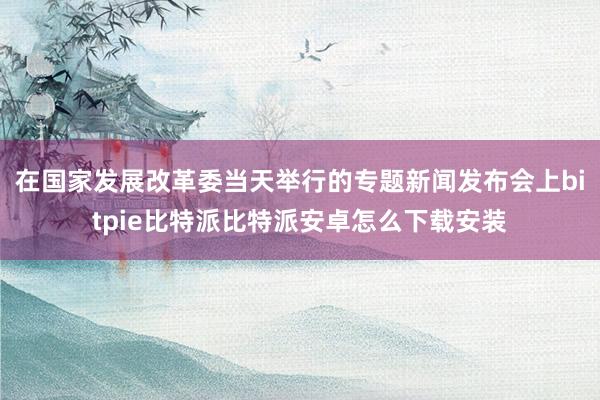 在国家发展改革委当天举行的专题新闻发布会上bitpie比特派比特派安卓怎么下载安装