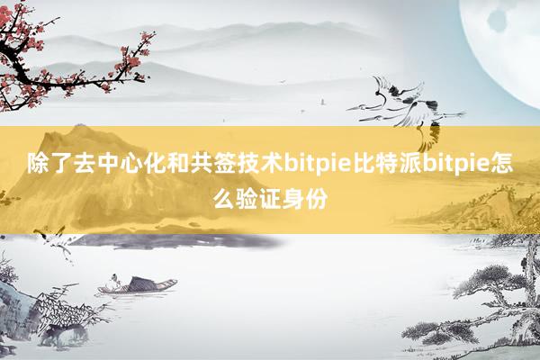 除了去中心化和共签技术bitpie比特派bitpie怎么验证身份