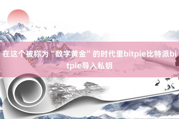 在这个被称为“数字黄金”的时代里bitpie比特派bitpie导入私钥