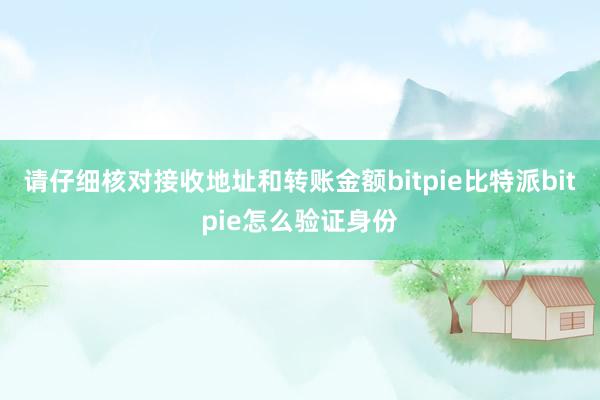 请仔细核对接收地址和转账金额bitpie比特派bitpie怎么验证身份