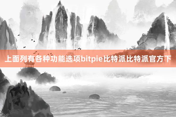 上面列有各种功能选项bitpie比特派比特派官方下