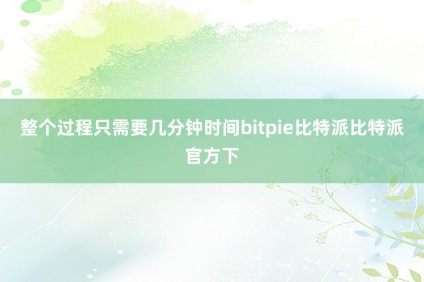 整个过程只需要几分钟时间bitpie比特派比特派官方下