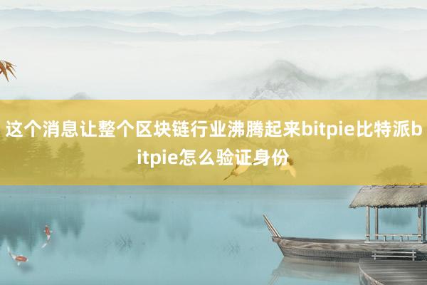 这个消息让整个区块链行业沸腾起来bitpie比特派bitpie怎么验证身份