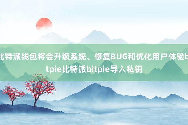 比特派钱包将会升级系统、修复BUG和优化用户体验bitpie比特派bitpie导入私钥