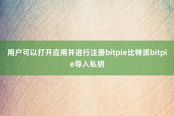 用户可以打开应用并进行注册bitpie比特派bitpie导入私钥