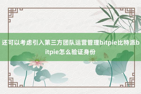 还可以考虑引入第三方团队运营管理bitpie比特派bitpie怎么验证身份