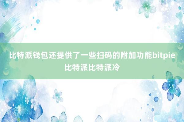 比特派钱包还提供了一些扫码的附加功能bitpie比特派比特派冷