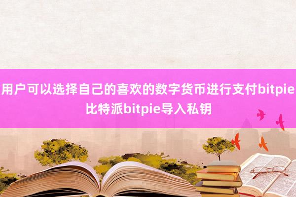 用户可以选择自己的喜欢的数字货币进行支付bitpie比特派bitpie导入私钥