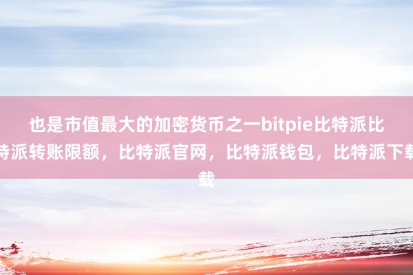 也是市值最大的加密货币之一bitpie比特派比特派转账限额，比特派官网，比特派钱包，比特派下载