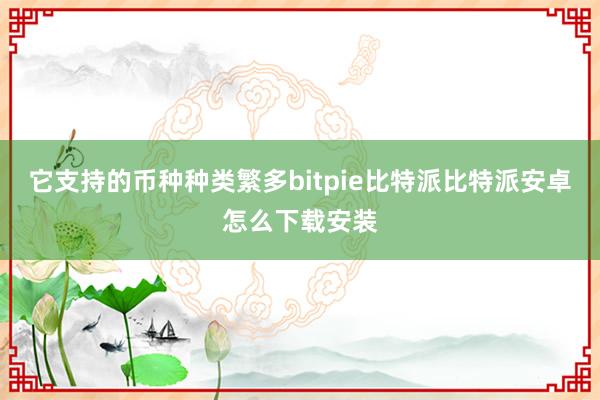 它支持的币种种类繁多bitpie比特派比特派安卓怎么下载安装