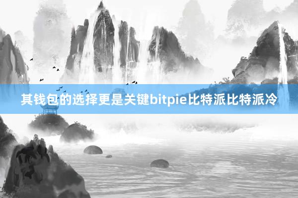 其钱包的选择更是关键bitpie比特派比特派冷