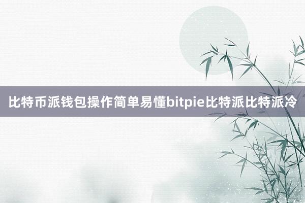 比特币派钱包操作简单易懂bitpie比特派比特派冷