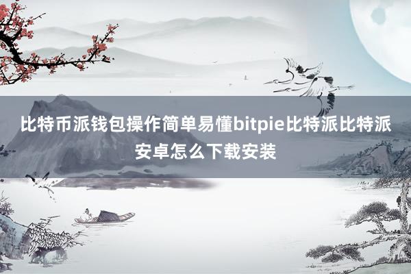 比特币派钱包操作简单易懂bitpie比特派比特派安卓怎么下载安装