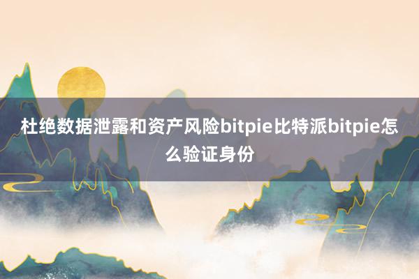 杜绝数据泄露和资产风险bitpie比特派bitpie怎么验证身份