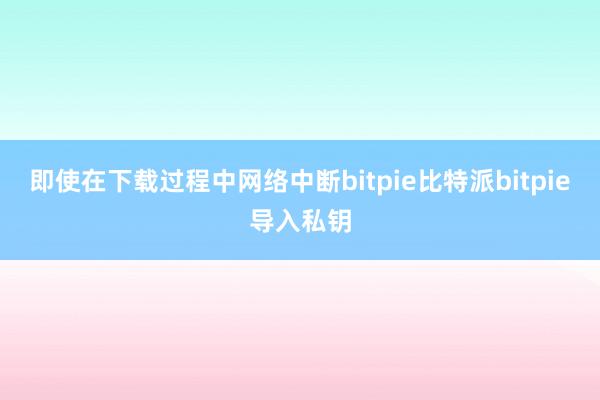 即使在下载过程中网络中断bitpie比特派bitpie导入私钥