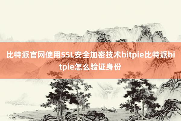 比特派官网使用SSL安全加密技术bitpie比特派bitpie怎么验证身份