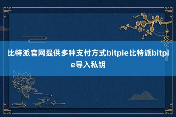 比特派官网提供多种支付方式bitpie比特派bitpie导入私钥