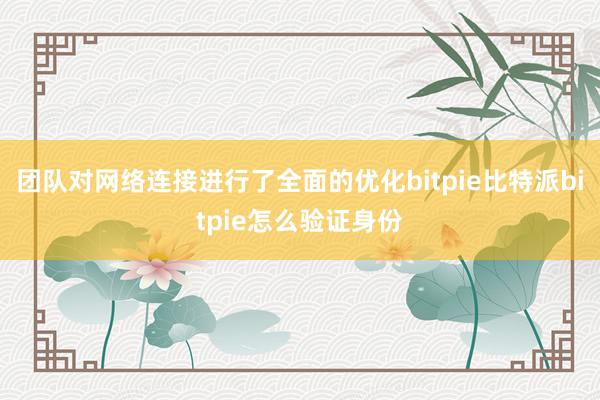 团队对网络连接进行了全面的优化bitpie比特派bitpie怎么验证身份