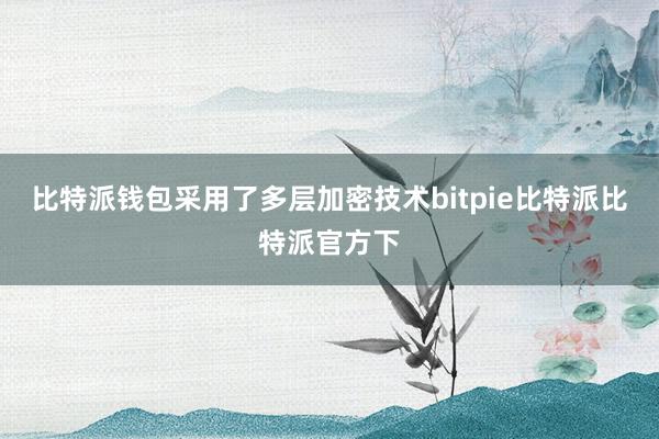 比特派钱包采用了多层加密技术bitpie比特派比特派官方下