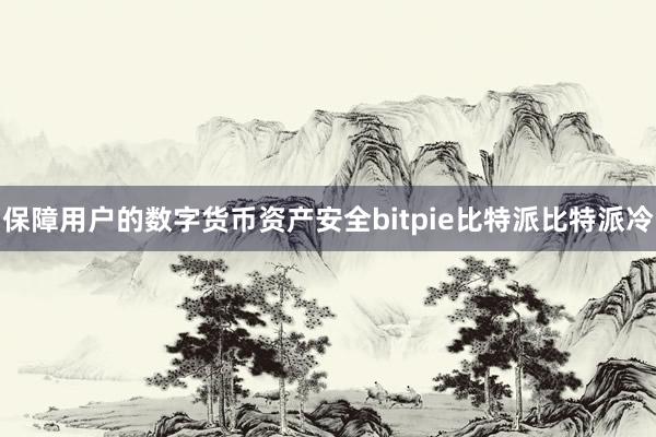 保障用户的数字货币资产安全bitpie比特派比特派冷