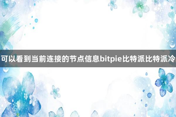 可以看到当前连接的节点信息bitpie比特派比特派冷