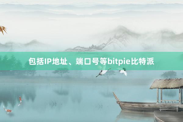 包括IP地址、端口号等bitpie比特派