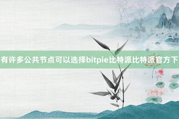 有许多公共节点可以选择bitpie比特派比特派官方下