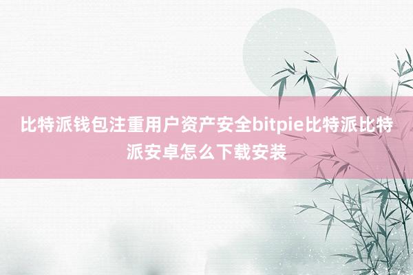 比特派钱包注重用户资产安全bitpie比特派比特派安卓怎么下载安装