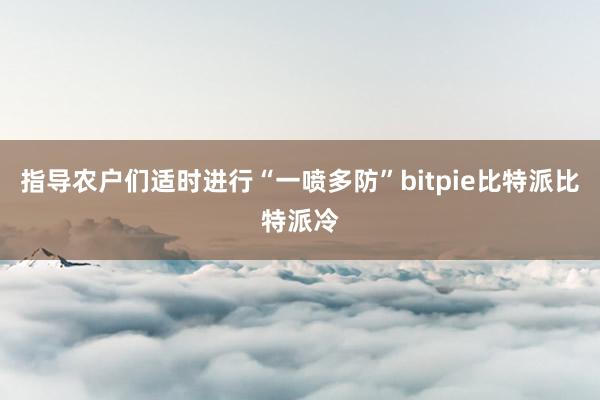 指导农户们适时进行“一喷多防”bitpie比特派比特派冷