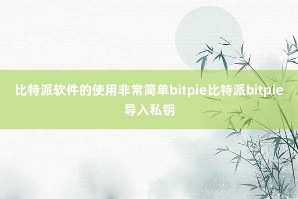 比特派软件的使用非常简单bitpie比特派bitpie导入私钥