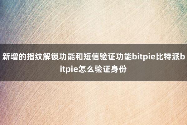 新增的指纹解锁功能和短信验证功能bitpie比特派bitpie怎么验证身份